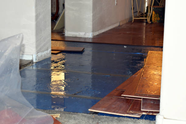 Professional Water Damage technician working in Old Greenwich, CT